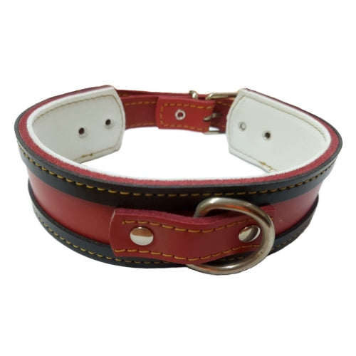 Collar galgo 34035