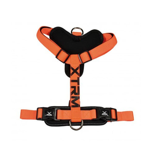 ARNES X-TRM Cronos Neon Flash. Naranja N69204