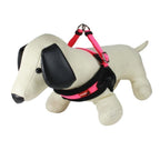 ARNÉS DOG VEST S Fucsia