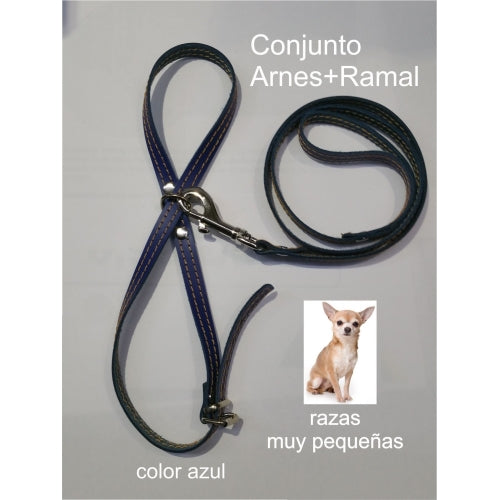 ARNES Y AMARRE RAZAS PEQUEÑAS. AZUL